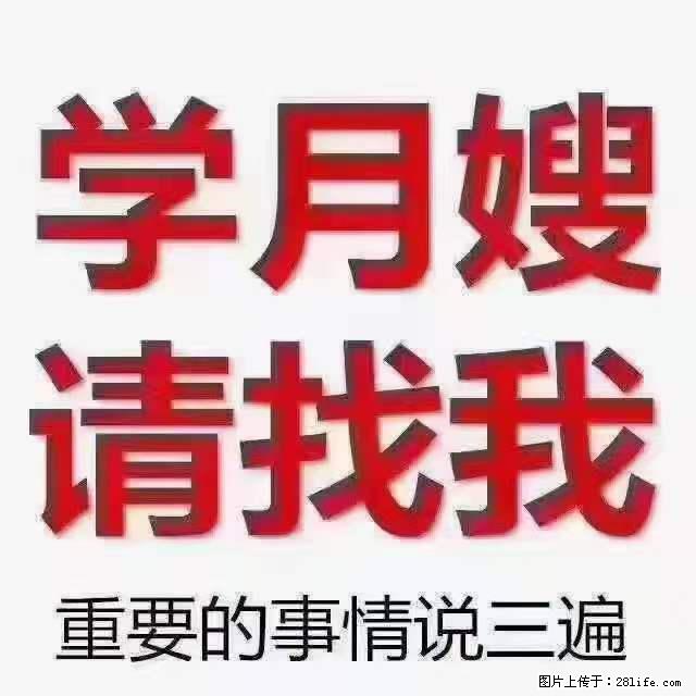 为什么要学习月嫂，育婴师？ - 其他广告 - 广告专区 - 本溪分类信息 - 本溪28生活网 benxi.28life.net