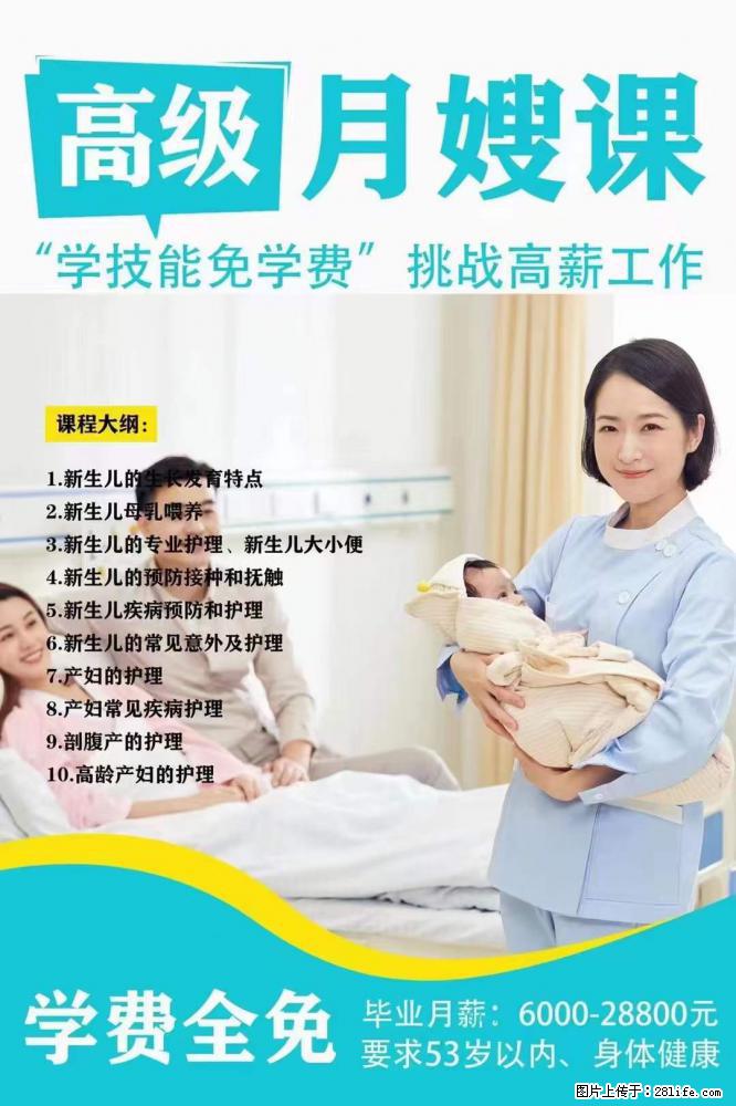 为什么要学习月嫂，育婴师？ - 其他广告 - 广告专区 - 本溪分类信息 - 本溪28生活网 benxi.28life.net