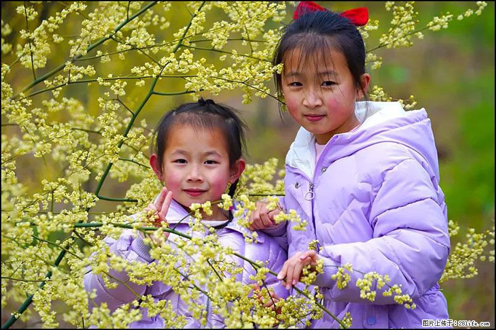 【春天，广西桂林灌阳县向您发出邀请！】米珠山前有片山苍子花在飘香 - 游山玩水 - 本溪生活社区 - 本溪28生活网 benxi.28life.net