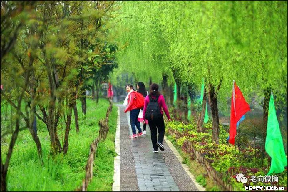 【春天，广西桂林灌阳县向您发出邀请！】江口老街又逢春 - 游山玩水 - 本溪生活社区 - 本溪28生活网 benxi.28life.net