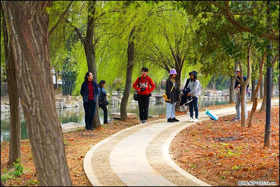 【春天，广西桂林灌阳县向您发出邀请！】江口老街又逢春 - 游山玩水 - 本溪生活社区 - 本溪28生活网 benxi.28life.net