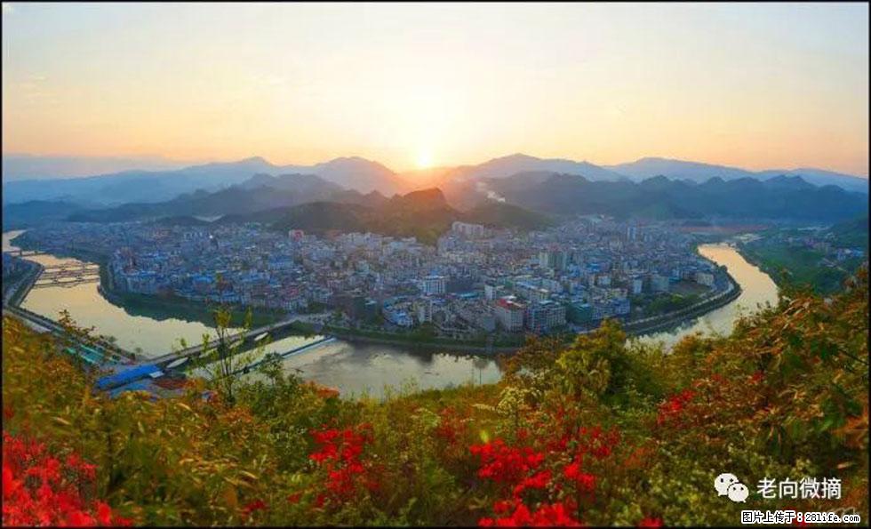【春天，广西桂林灌阳县向您发出邀请！】登麒麟山，相约映山红 - 游山玩水 - 本溪生活社区 - 本溪28生活网 benxi.28life.net