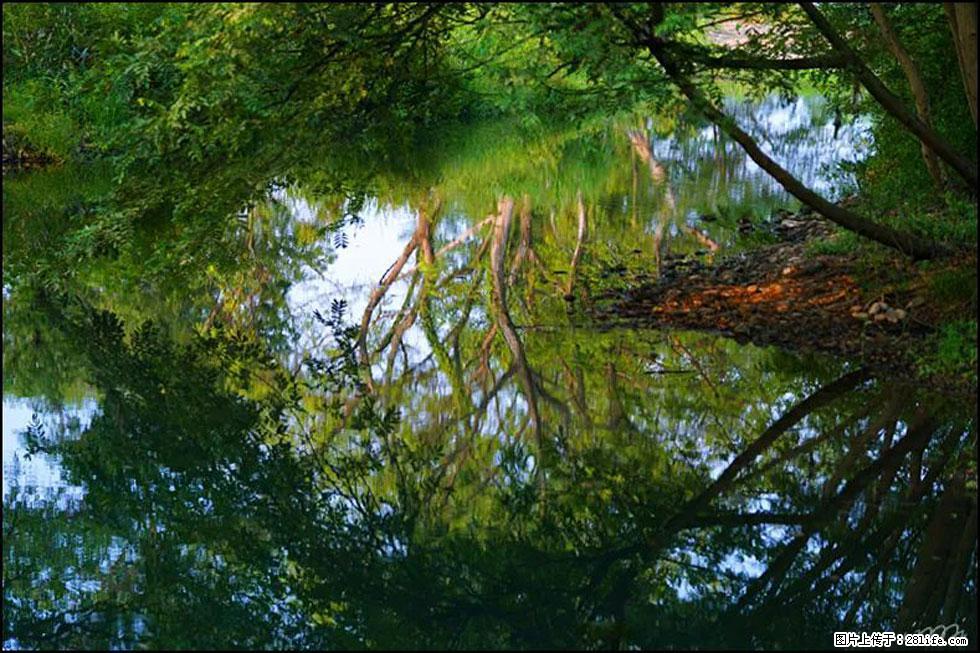 【春天，广西桂林灌阳县向您发出邀请！】熊家寨湿地公园 - 游山玩水 - 本溪生活社区 - 本溪28生活网 benxi.28life.net