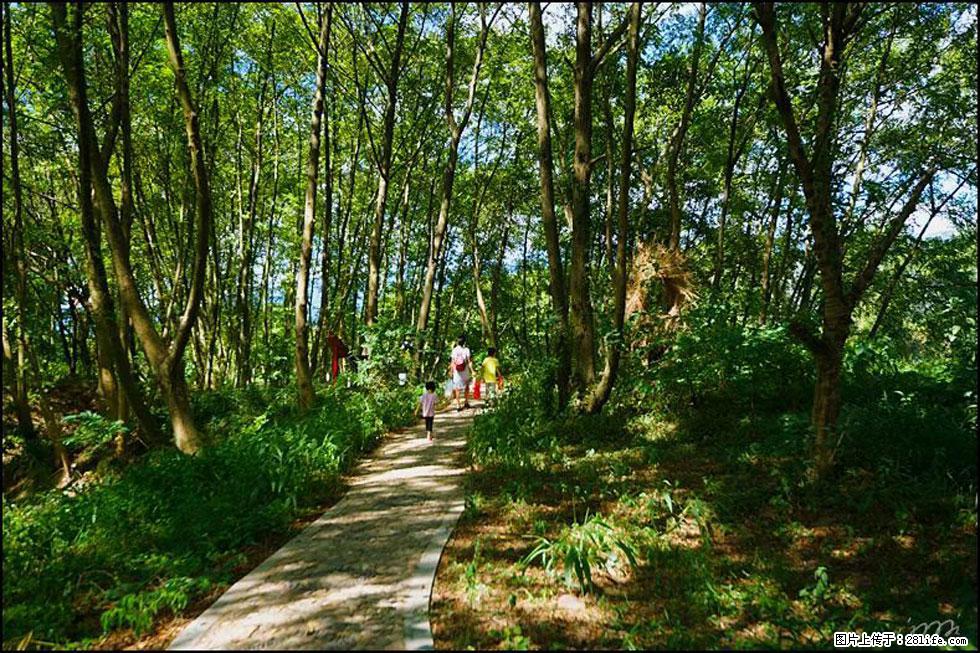 【春天，广西桂林灌阳县向您发出邀请！】熊家寨湿地公园 - 游山玩水 - 本溪生活社区 - 本溪28生活网 benxi.28life.net