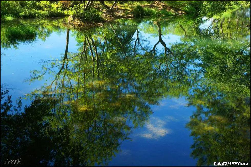 【春天，广西桂林灌阳县向您发出邀请！】熊家寨湿地公园 - 游山玩水 - 本溪生活社区 - 本溪28生活网 benxi.28life.net