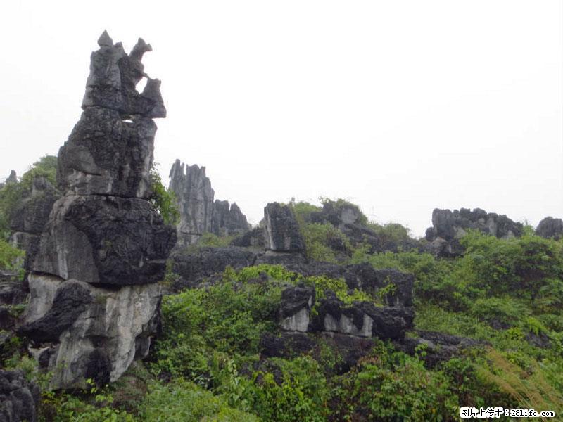 桂林旅游名城景点：灌阳文市石林 - 游山玩水 - 本溪生活社区 - 本溪28生活网 benxi.28life.net