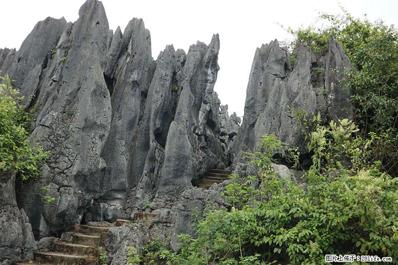 桂林旅游名城景点：灌阳文市石林 - 游山玩水 - 本溪生活社区 - 本溪28生活网 benxi.28life.net