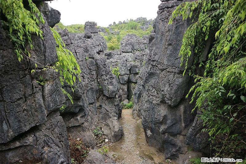 桂林旅游名城景点：灌阳文市石林 - 游山玩水 - 本溪生活社区 - 本溪28生活网 benxi.28life.net
