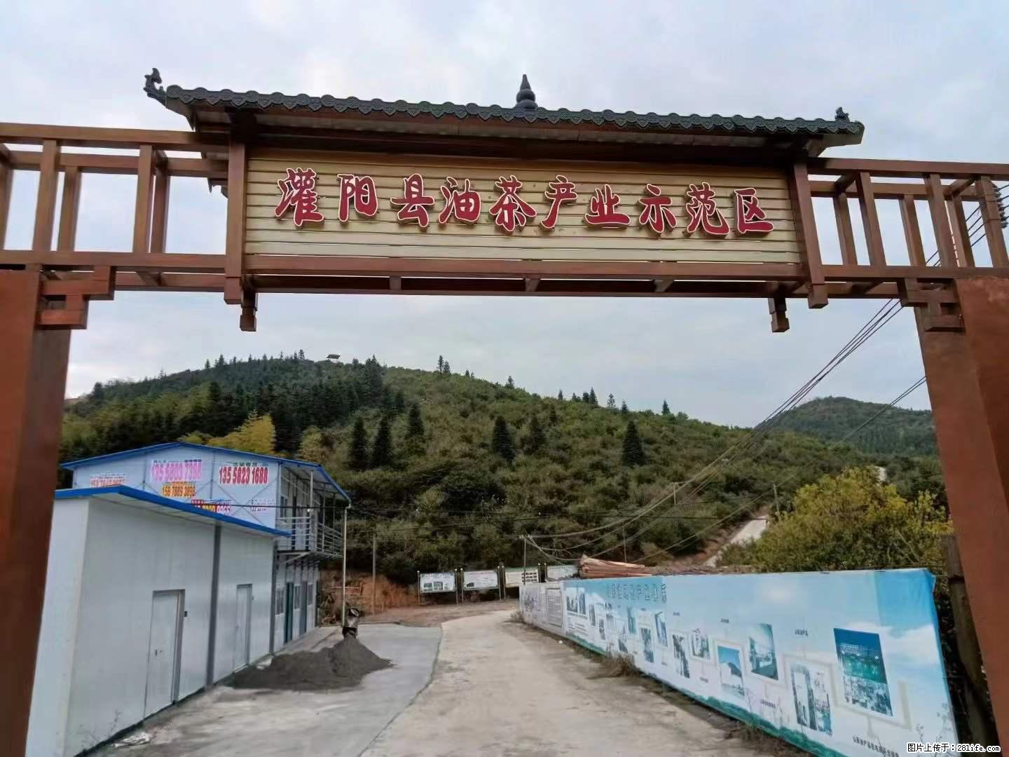 【灌阳县油茶产业示范区】一个有着充实的精神生活的人，对待身外之物自会有一种淡泊的态度 - 土特产 - 饮食特产 - 本溪分类信息 - 本溪28生活网 benxi.28life.net