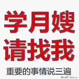 为什么要学习月嫂，育婴师？ - 本溪28生活网 benxi.28life.net