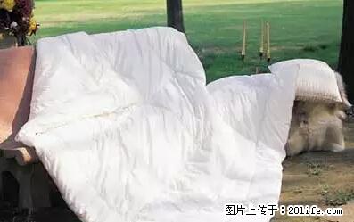 被子有异味？只要这样做，比晒太阳还强100倍！ - 家居生活 - 本溪生活社区 - 本溪28生活网 benxi.28life.net