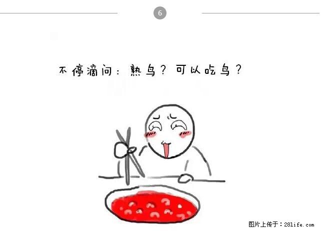 千万不要和这9种哈卵一起吃火锅！ - 美食天地 - 本溪生活社区 - 本溪28生活网 benxi.28life.net