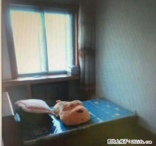 博景房产 二院眼科双室 2室1厅1 卫 - 本溪28生活网 benxi.28life.net