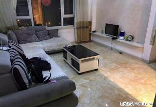 东芬景康学院 精装修 拎包入住 - 本溪28生活网 benxi.28life.net