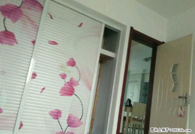 金鸣房产 永丰国美附近 新装修 拎包入住 - 房屋出租 - 房屋租售 - 本溪分类信息 - 本溪28生活网 benxi.28life.net