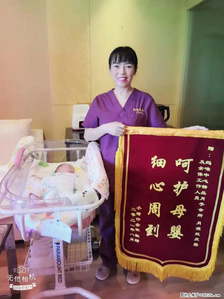 上海高端月子会所招新手月嫂，零基础带教，包吃住 - 职场交流 - 本溪生活社区 - 本溪28生活网 benxi.28life.net