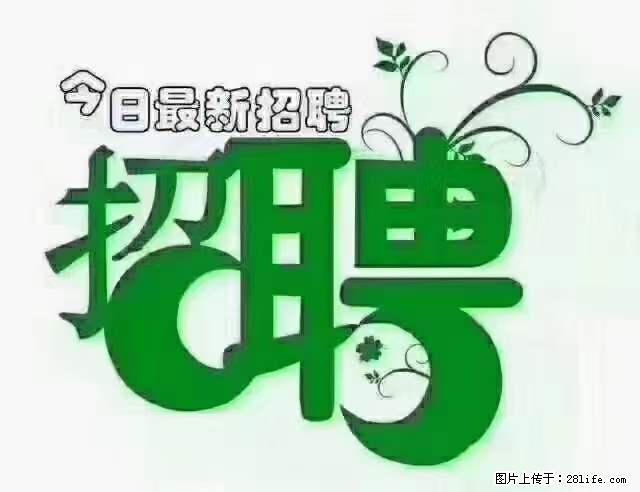 【招聘摄像师】待遇：试用期6000元/月，转正7000元/月+五险一金+餐补+节日福利+奖金 - 其他招聘信息 - 招聘求职 - 本溪分类信息 - 本溪28生活网 benxi.28life.net