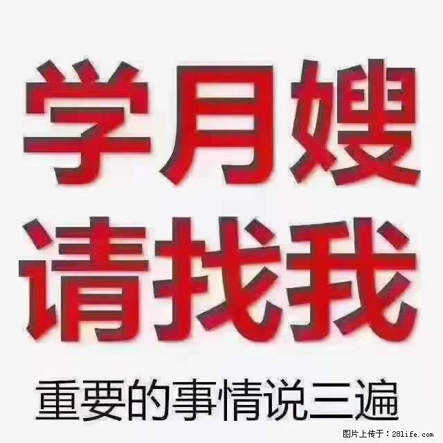 【招聘】月嫂，上海徐汇区 - 职场交流 - 本溪生活社区 - 本溪28生活网 benxi.28life.net