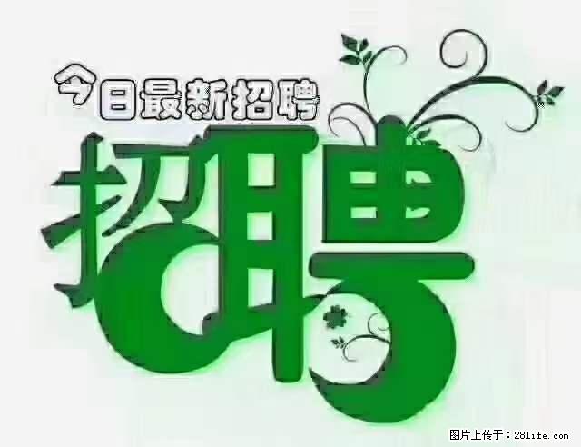 上海隔离酒店招人：55岁以下 男女不限 - 职场交流 - 本溪生活社区 - 本溪28生活网 benxi.28life.net