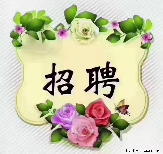 【招聘】住家育儿嫂，上户日期：4月4日，工作地址：上海 黄浦区 - 职场交流 - 本溪生活社区 - 本溪28生活网 benxi.28life.net