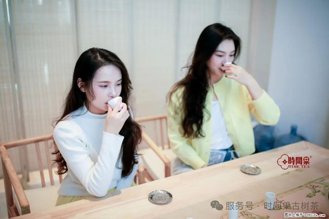 时间果百年古树龙珠普洱生茶 - 购物交流 - 本溪生活社区 - 本溪28生活网 benxi.28life.net