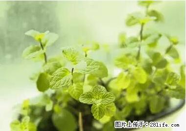 晕车、脚气、牙齿变黄、皮肤粗糙？学会这些三分钟搞定！ - 本溪生活资讯 - 本溪28生活网 benxi.28life.net