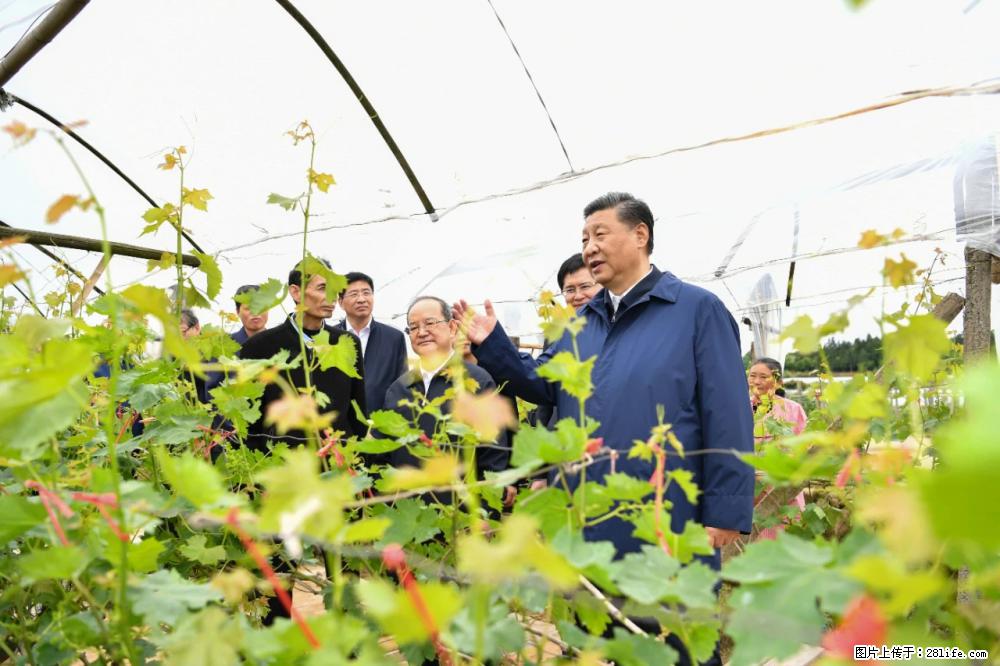习近平赴广西考察调研 - 本溪生活资讯 - 本溪28生活网 benxi.28life.net