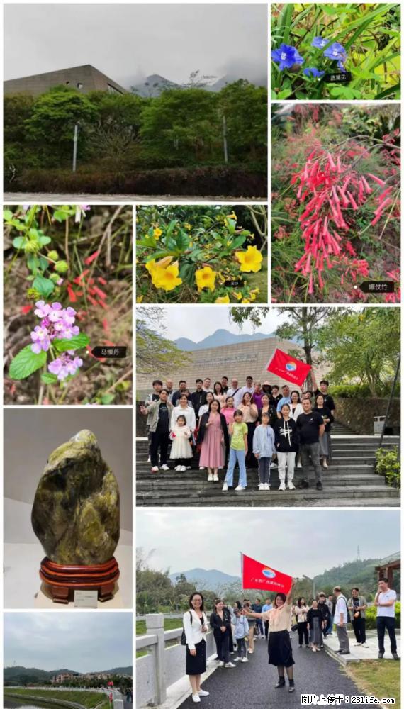 “粤灌文化 美好生活”油茶文化主题活动在广东深圳成功举办 - 本溪生活资讯 - 本溪28生活网 benxi.28life.net