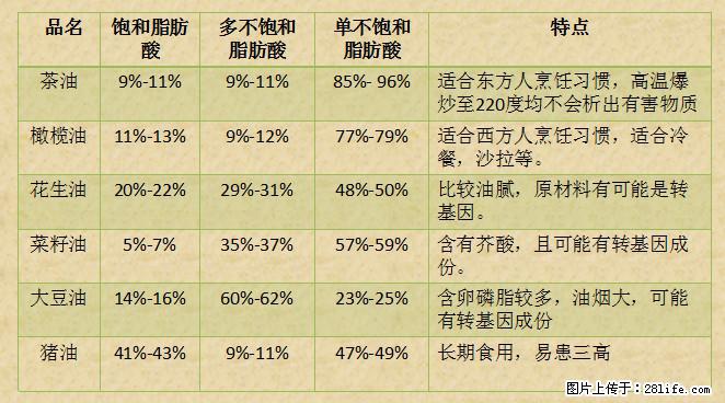 揭秘茶油的5大核心营养成分！被称为人体健康的“守护盾”！ - 本溪生活资讯 - 本溪28生活网 benxi.28life.net