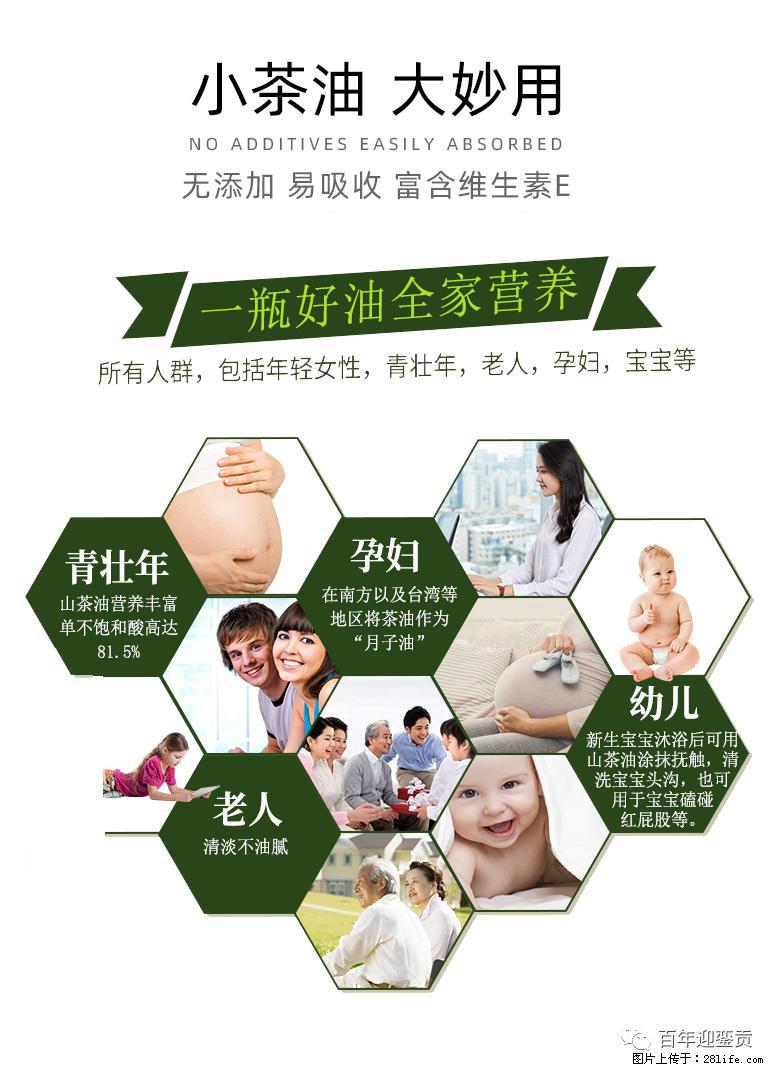 世界没有真相，只有认知，最好的食用油是中国的山茶油！ - 本溪生活资讯 - 本溪28生活网 benxi.28life.net