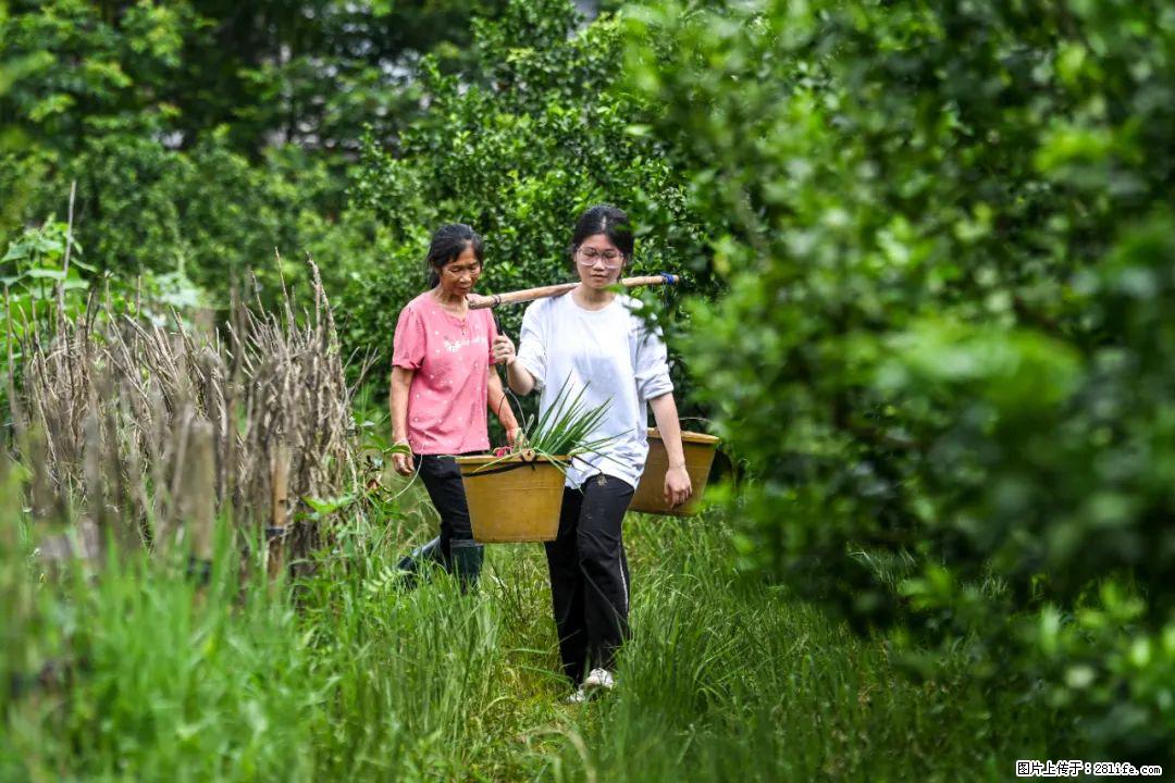全网追的“扁担女孩”，找了一份暑假工，时薪12元 - 本溪生活资讯 - 本溪28生活网 benxi.28life.net