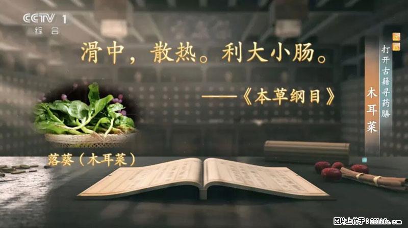 比牛奶补钙还厉害！凉血解毒、稳血糖...这菜冬天必吃，很多人却当草 - 本溪生活资讯 - 本溪28生活网 benxi.28life.net