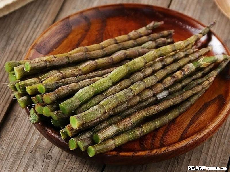 铁皮石斛的作用与功能主治 - 本溪生活资讯 - 本溪28生活网 benxi.28life.net